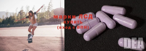 PSILOCYBIN Алзамай