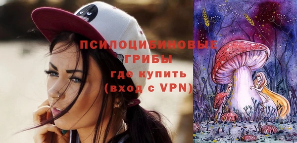 PSILOCYBIN Алзамай