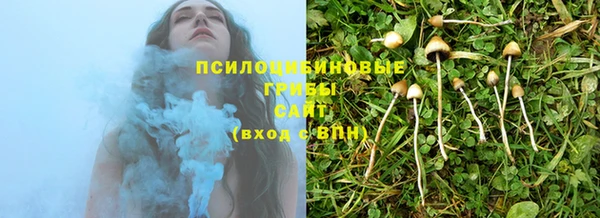 каннабис Алексеевка