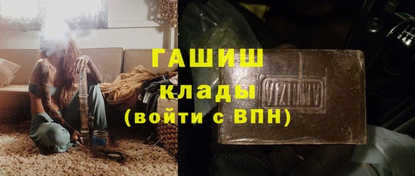 PSILOCYBIN Алзамай