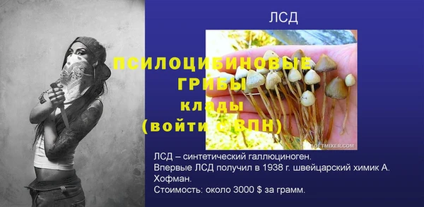 PSILOCYBIN Алзамай