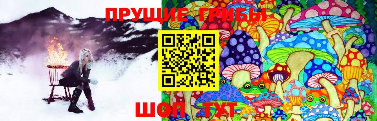 Раменское  Галлюциногенные грибы Magic Shrooms  Вход с VPN 